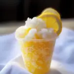 lemon juice Tonic Slush